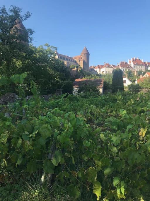 Villa Grande Maison A Semur En Plein Coeur Historique Exterior foto